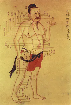 Man with meridians drawn on