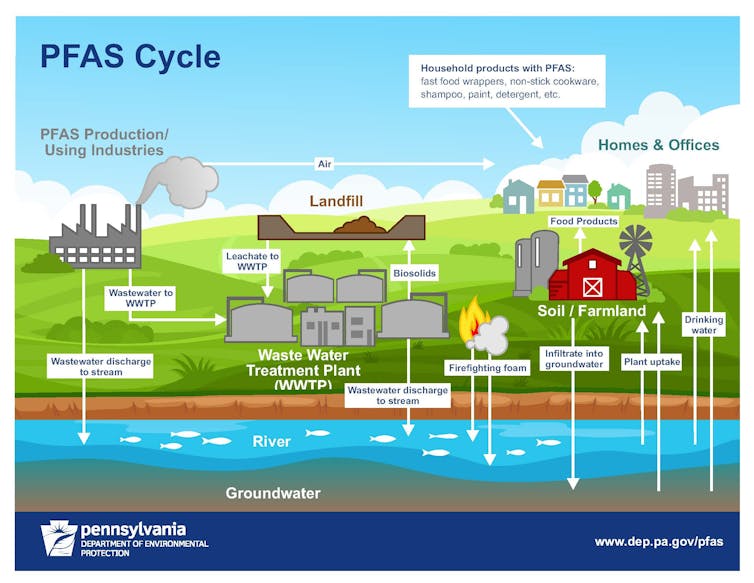 How PFAS chemicals get into the environment.