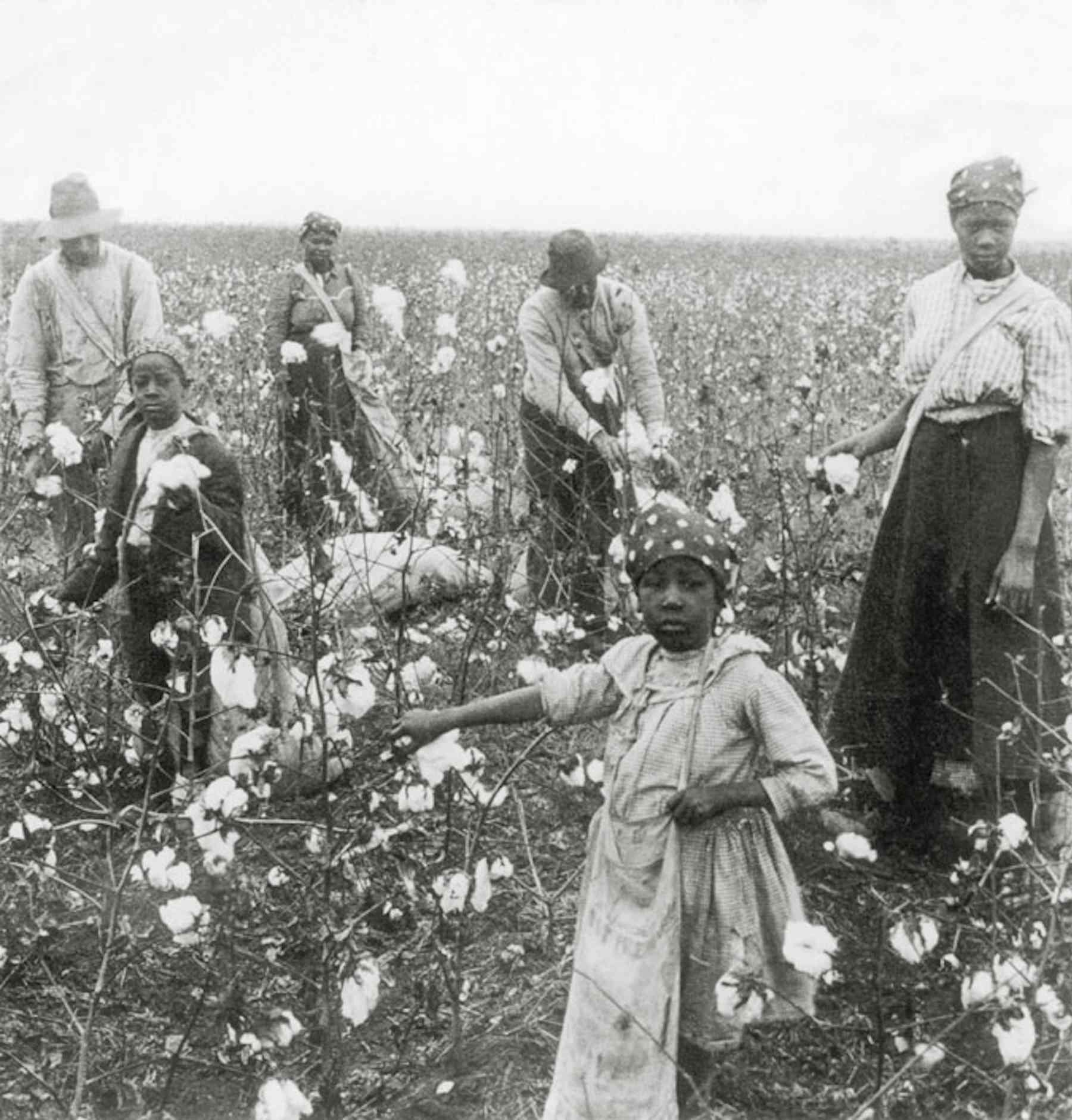 How did slavery affect blacks jobs