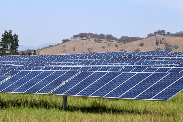 A solar farm