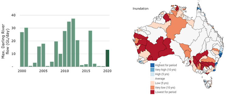 Need a mood lift? We’ve tracked 4 ways Australia’s environment has repaired itself in 2020