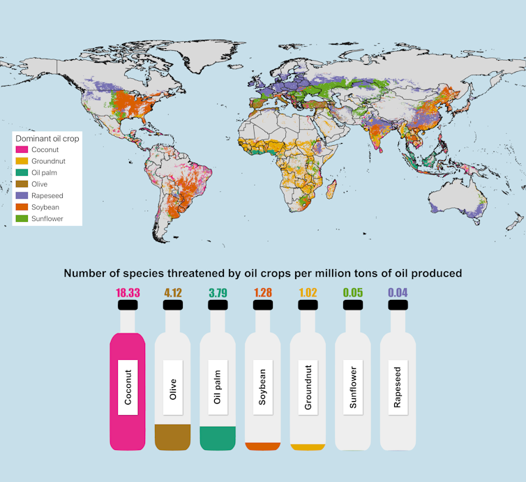 A map of the world showing where different oil crops are grown and a series of bottles showing how many species are threatened per volume of each oil.