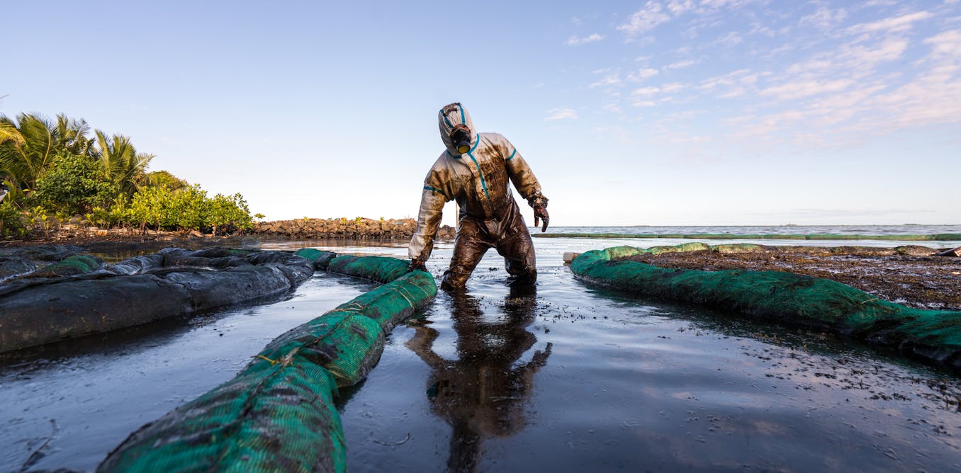 Mauritius oil spill: how coral reefs, mangroves and seagrass could be