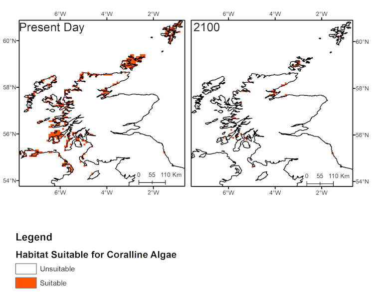 Two maps comparing maerl bed distribution off the Scottish coast today and in 2100.