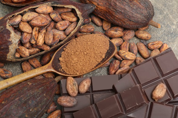 Chocolat aux fèves de cacao