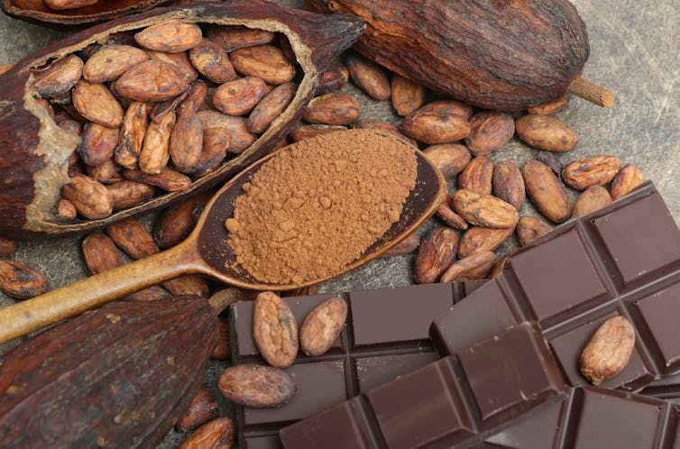 Chocolate with cacao beans