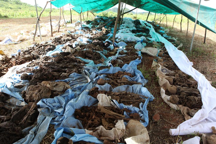 Hundreds of skeletons found in Zimbabwean mineshafts