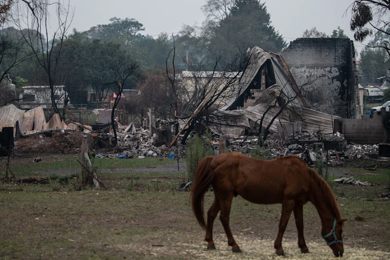 A horse grazes in front of a burnt-down house.