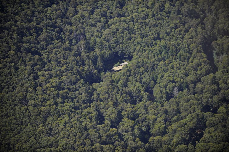 Aerial view of a house surrounded by dense bushland.