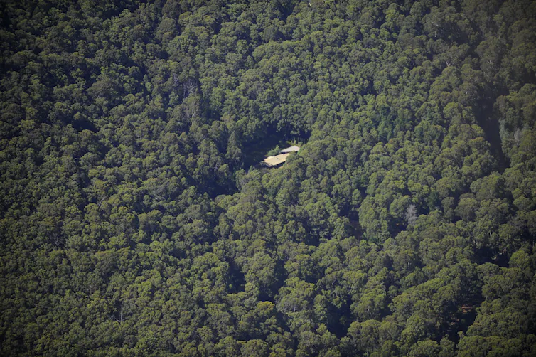 Aerial view of a house surrounded by dense bushland.