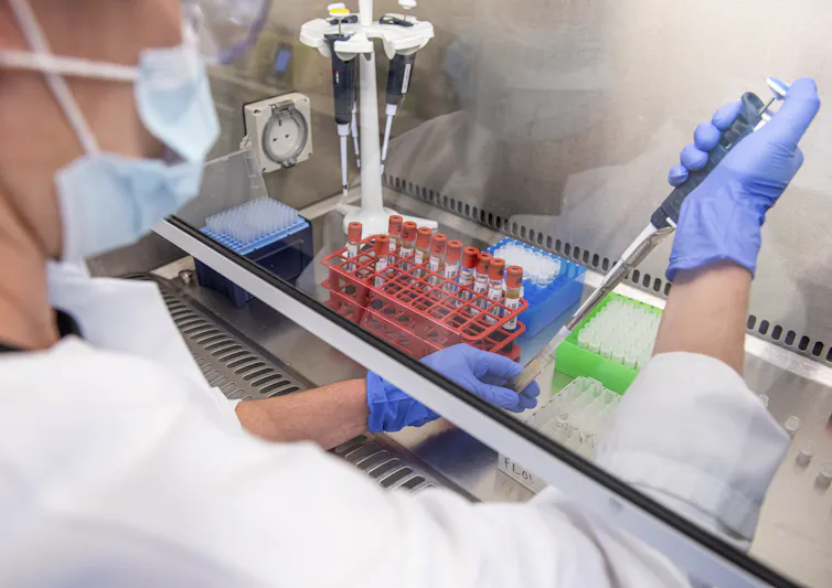 Scientist uses a pipette