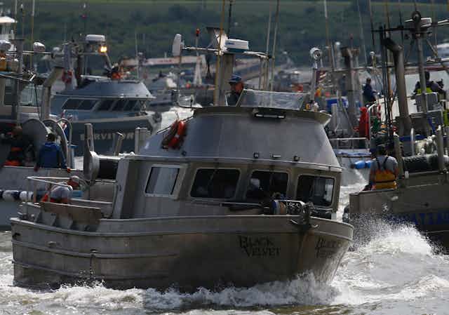 Fishing boat captains jockey for position in Bristol Bay.