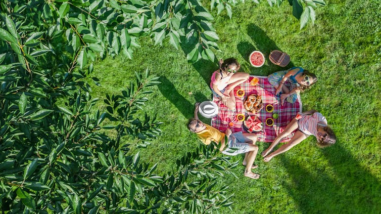 Aerial view of a picnic in a park.