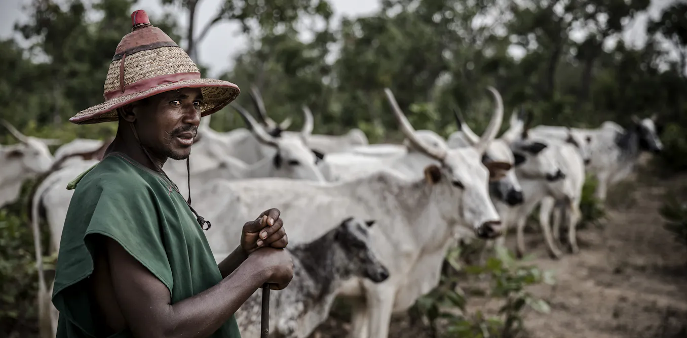 What s Triggered New Conflict Between Farmers And Herders In Nigeria What s Triggered New Conflict Between Farmers And Herders In Nigeria