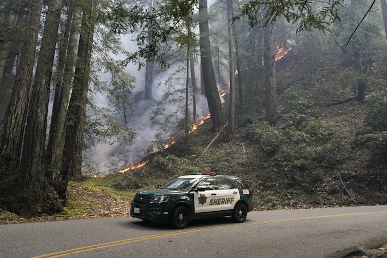 Police car in California drives through burning forest.