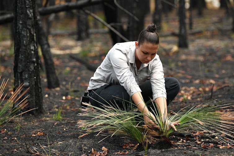 file-20200828-24-1rpy225.jpg?ixlib=rb-1.1.0&q=45&auto=format&w=754&fit=clip