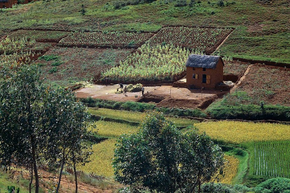 farming land in Madagascar
