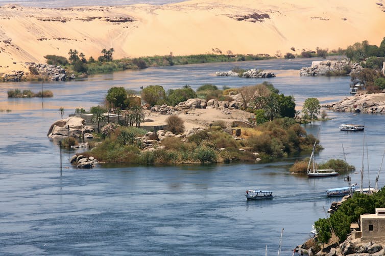 Island on the River Nile with palm trees and boats.