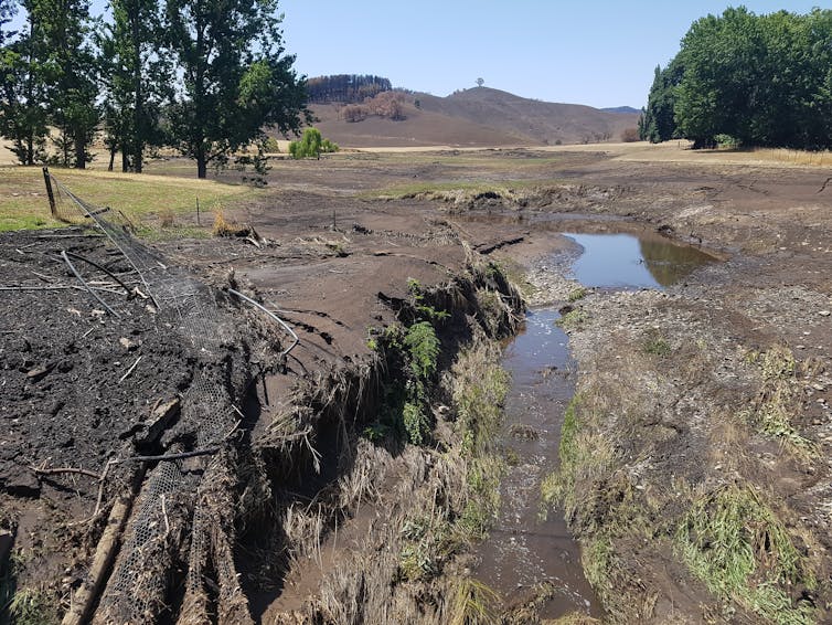 How bushfires and rain turned our waterways into 'cake mix', and what we can do about it