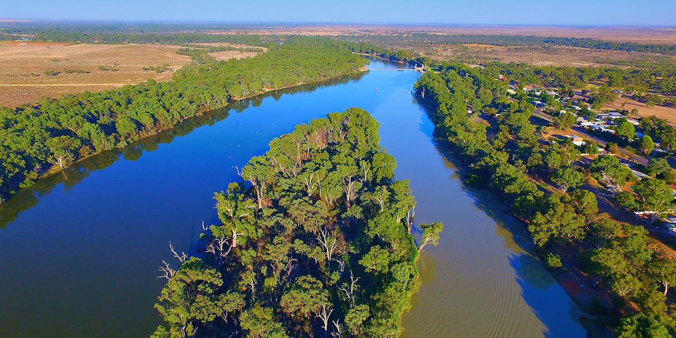 Recovering the environment in the Murray-Darling: upgrades increase water prices more than