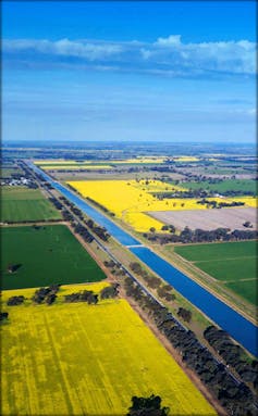 Recovering water for the environment in the Murray-Darling: farm upgrades increase water prices more than buybacks