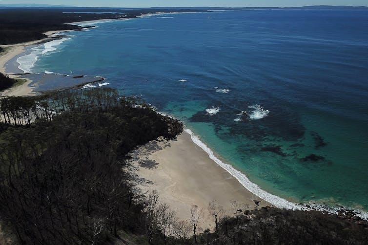 Burnt and recovering bushland around the ocean