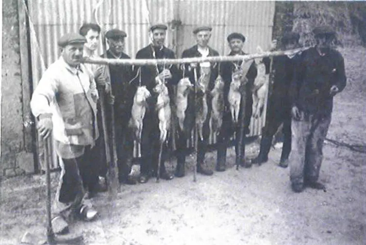 Chasseurs de renards en France dans les années 1950.