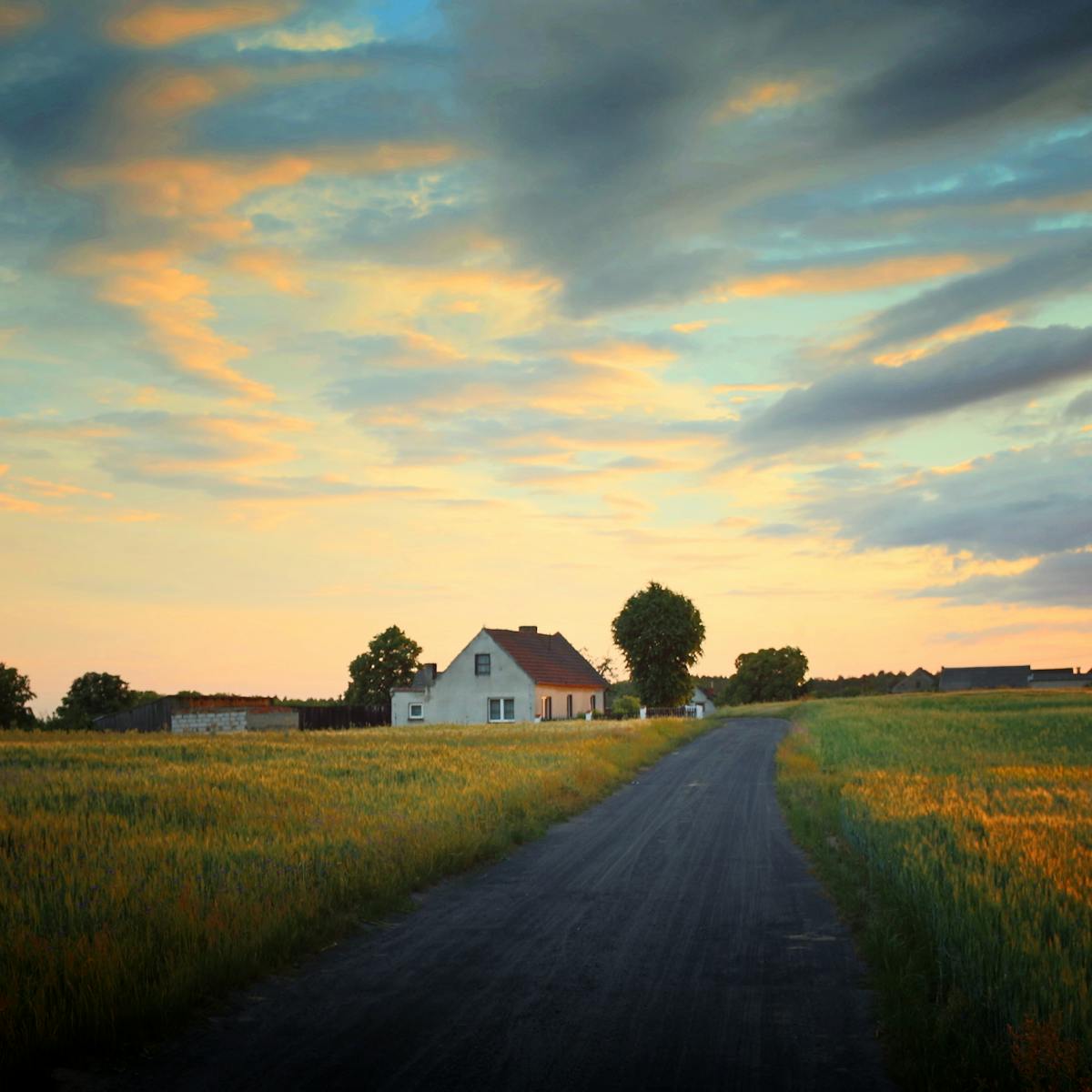 The Coronavirus Pandemic Is Pushing Canadians Out Of Cities And Into The Countryside The Coronavirus Pandemic Is Pushing Canadians Out Of Cities And Into The Countryside