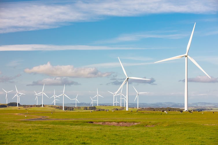 A wind farm