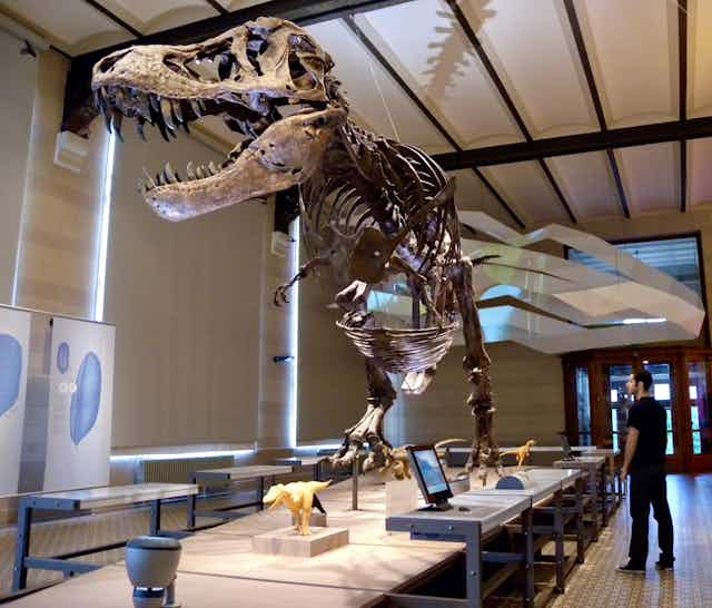 Article's author stands next to a T. rex skeleton