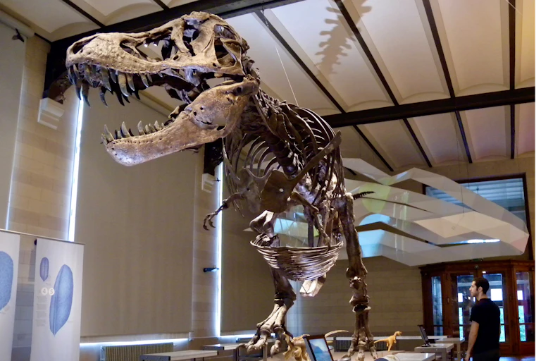 Article's author stands next to a T. rex skeleton