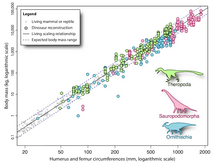 Graph of estimated dinosaur body masses