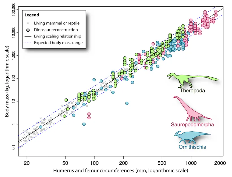 Graph of estimated dinosaur body masses