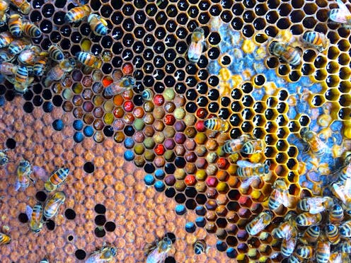 Sains Teknologi Artikel Analisis Komentar The Conversation Laman 1