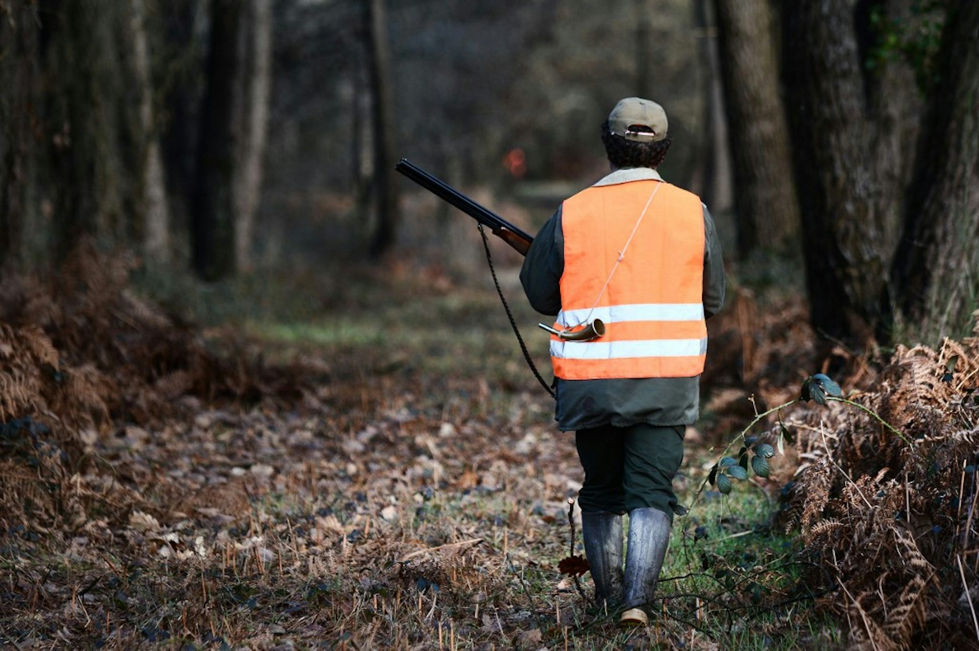 La chasse une histoire avec le pouvoir