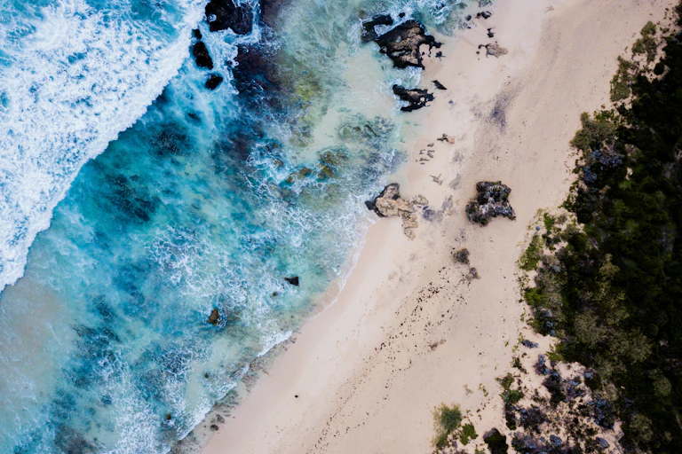 Aerial view of tropical beach.