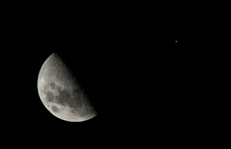 how phases of the Moon affect native wildlife