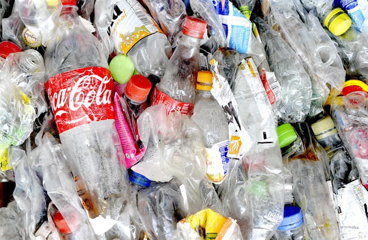 Used plastic soft drink bottles