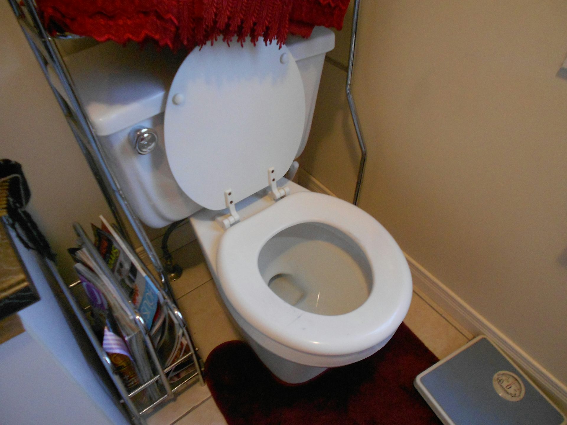 An open toilet.