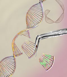 CRISPR can help combat the troubling immune response against gene therapy