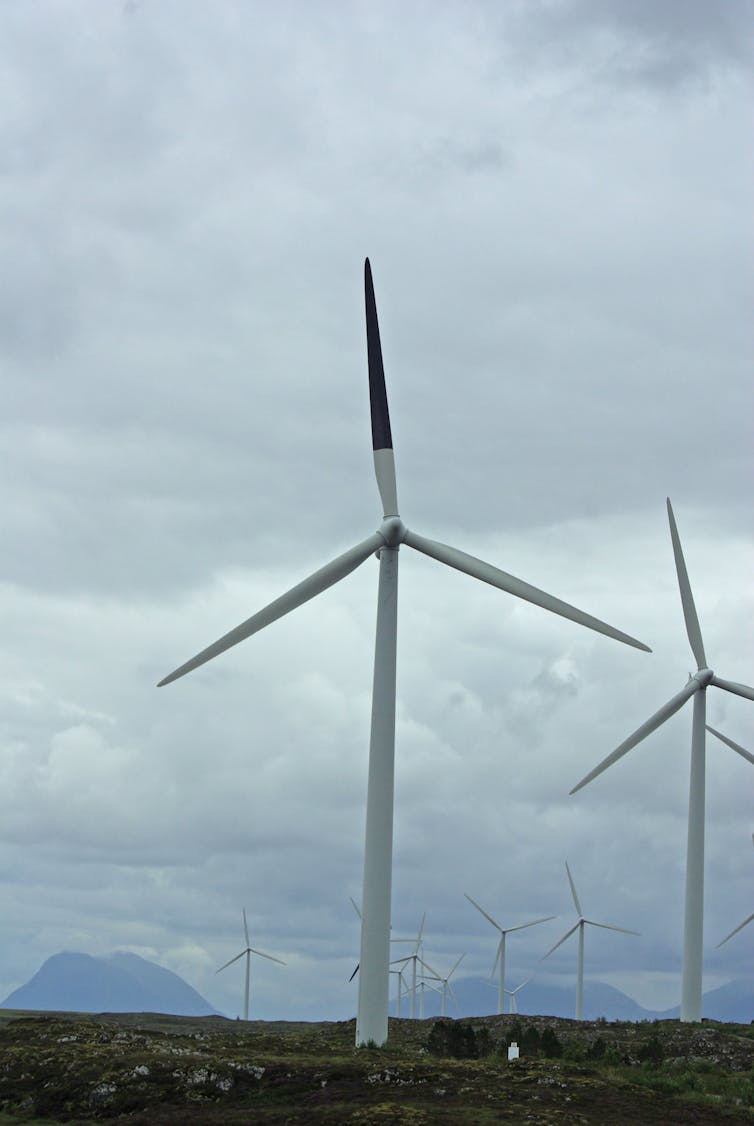 A wind turbine with one blade painted black, with several unpainted turbines in the background.