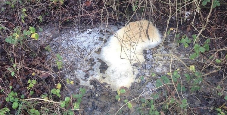 A shallow stream overgrown with plants and with brown foam on the surface, indicating potential pollution.