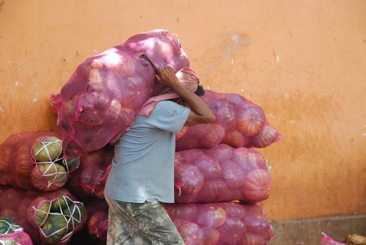 A worker lugs bags of pumpkins.