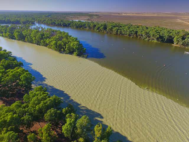 Aerial view of a river in the Murray Darling Basin.