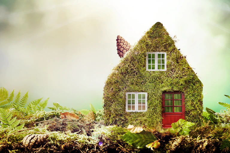 Art concept of eco-friendly house covered in moss covered model home outdoors in a garden with copy space amongst green ferns