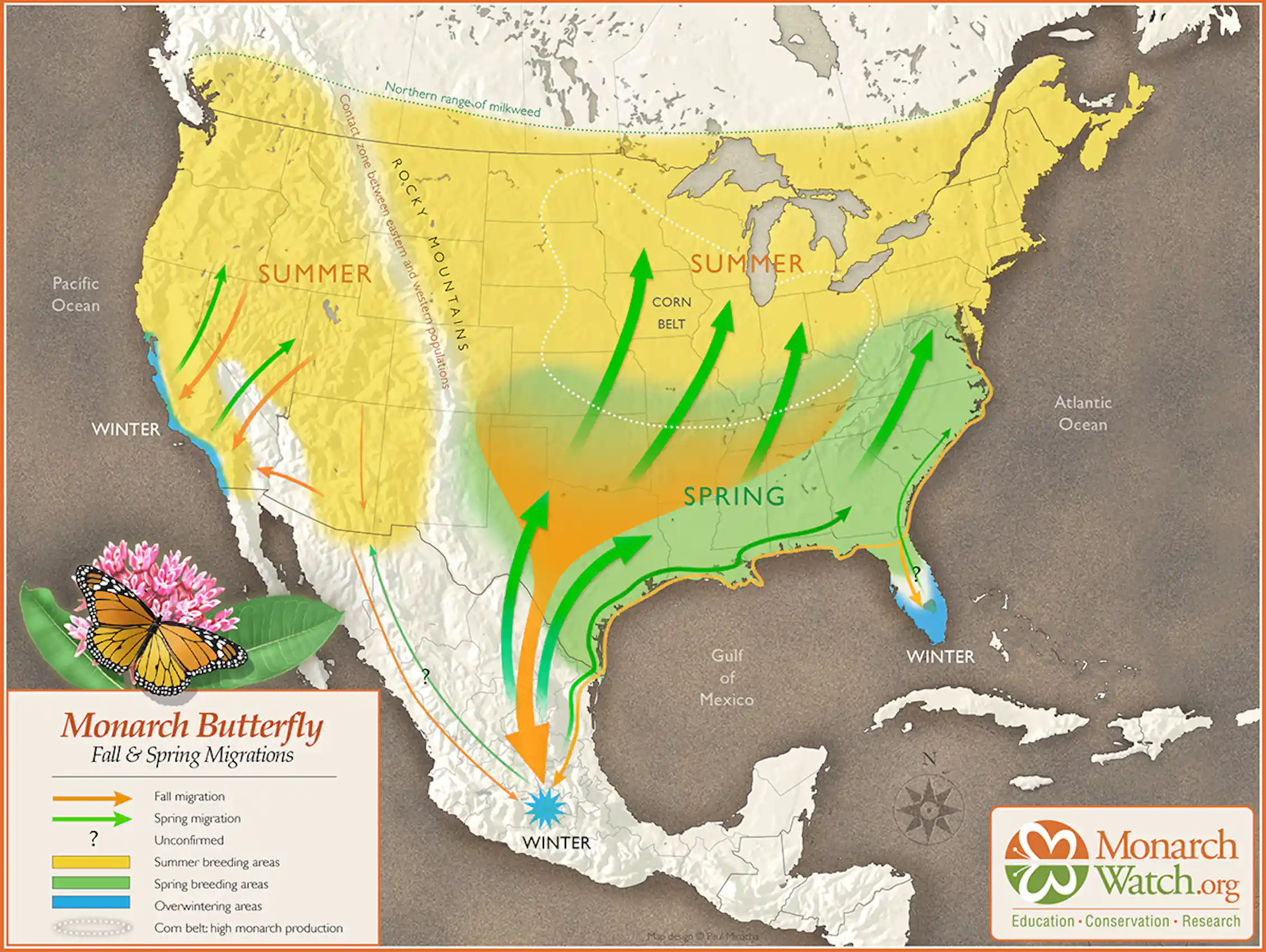 Monarch Butterflies At Risk Nerds Unbound Monarch butterflies at risk nerds unbound