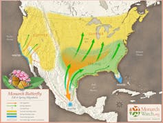 Map of North America showing monarch migration routes.