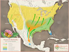 Map of North America showing monarch migration routes.