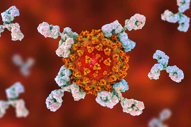 CGI image of antibodies attacking a virus