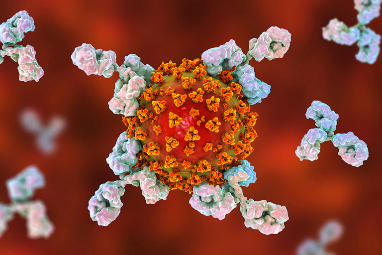 CGI image of antibodies attacking a virus
